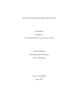 HOW DO ENTANGLED POLYMER LIQUIDS FLOW? A Dissertation