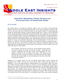 Middle East Insights - MEI-NUS