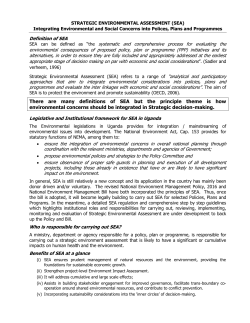 There are many definitions of SEA but the principle theme is