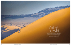 Call of the wild