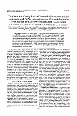 amylophila and Pichia mississippiensis