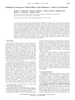 Modeling Ion Transport in Tethered Bilayer Lipid Membranes. 1