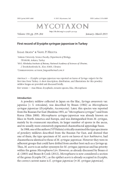 First record of Erysiphe syringae-japonicae</i