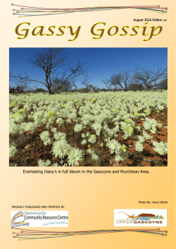 Gassy Gossip August 2016 - Shire of Upper Gascoyne