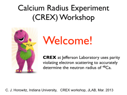 Calcium Radius Experiment (CREX) Workshop