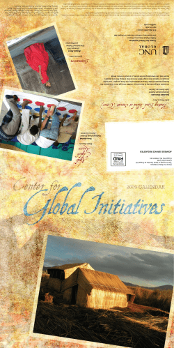 Floating Reed Island at Sunset (Cover)