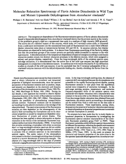 Molecular Relaxation Spectroscopy of Flavin Adenine Dinucleotide