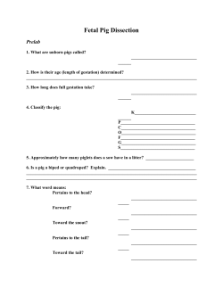 fetal pig prelab - West-MEC