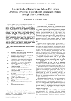 Kinetic Study of Immobilized Whole-Cell Lipase Rhizopus Oryzae as