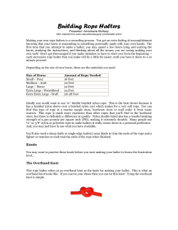 Building Rope Halters