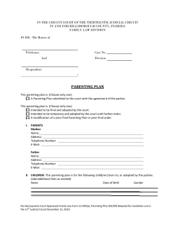 parenting plan - Thirteenth Judicial Circuit Court