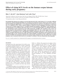 Effect of rising hCG levels on the human corpus luteum during early