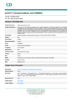 Anti-SLIT1 monoclonal antibody, clone FQ6808(3)