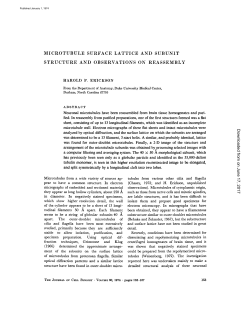 microtubule surface lattice and subunit structure and observations