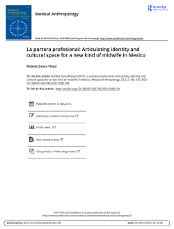 Articulating identity and cultural space for a new kind of midwife in