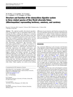 Structure and function of the stomachless digestive system in three