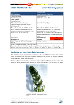HELCOM Red List Lamprothamnium papulosum