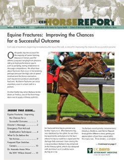 Equine Fractures: Improving the Chances for a Successful Outcome