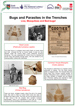 the Bugs PDF