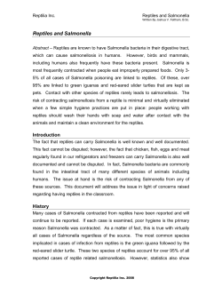 Salmonella and Reptiles