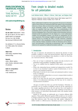 From simple to detailed models for cell polarization