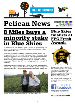 8 Miles buys a minority stake in Blue Skies