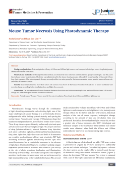 Mouse Tumor Necrosis Using Photodynamic Therapy