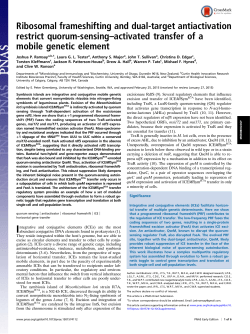 Ribosomal frameshifting and dual-target antiactivation restrict