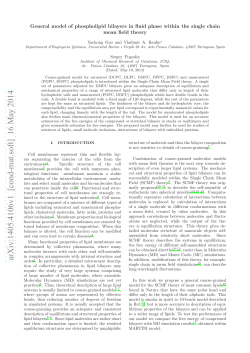 General model of phospholipid bilayers in fluid phase within the