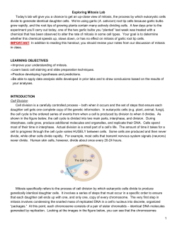 BIOL 001 F14 Exploring Mitosis Lab