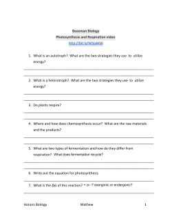 Bozeman Biology Photosynthesis and Respiration video http://bit.ly