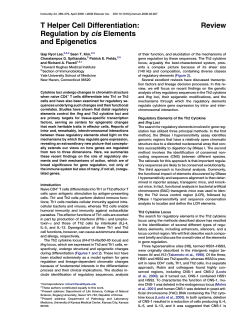 Review T Helper Cell Differentiation: Regulation by cis Elements