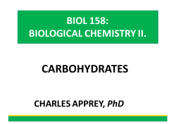 Lecture 1 Carbohydrates