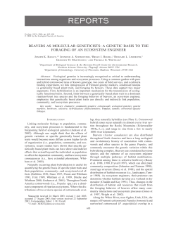 Beavers as Geneticists