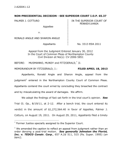 J-A20041-12 NON-PRECEDENTIAL DECISION