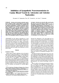 Inhibition of Sympathetic Neurotransmission in Canine Blood
