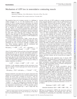 Mechanism of ATP loss in nonoxidative contracting muscle