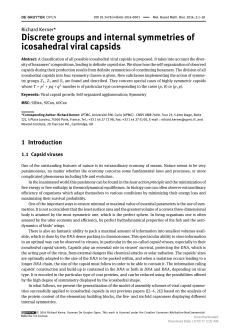 Discrete groups and internal symmetries of icosahedral viral capsids