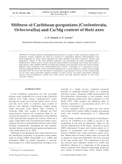 Full text in pdf format