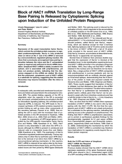 Block of HAC1 mRNA Translation by Long-Range Base