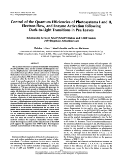 Control of the Quantum Efficiencies of