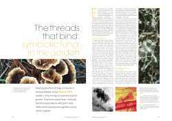 The threads that bind: symbiotic fungi in the garden