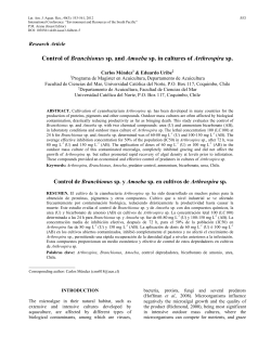 Control of Branchionus sp. and Amoeba sp. in cultures of