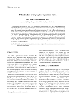 PDF Links