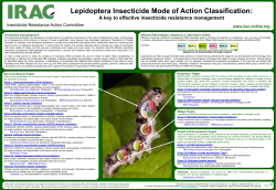 Lepidoptera MoA Poster - Insecticide Resistance Action Committee