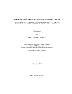 Ethnic niches, pathway to economic incorporation or exploitation