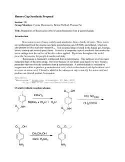 Honors Cup Synthetic Proposal