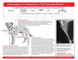 Instructions For Sizing the A-TraC Dynamic Brace