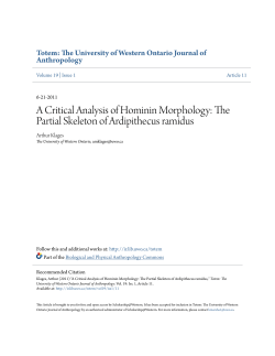 A Critical Analysis of Hominin Morphology