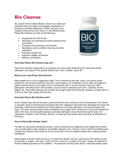 Bio Cleanse - The Path to Diamond